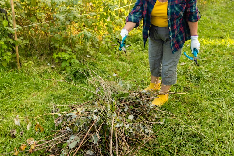 A Simple Guide to Garden Waste Removal Before Spring