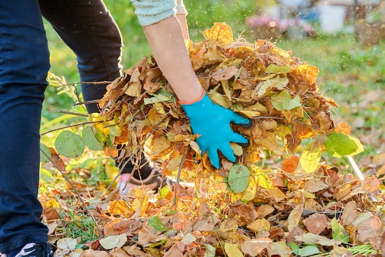 Garden waste removal