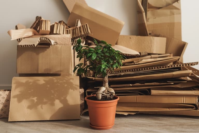 Office and House Clearance (Waste Collection) — marketing image (light)