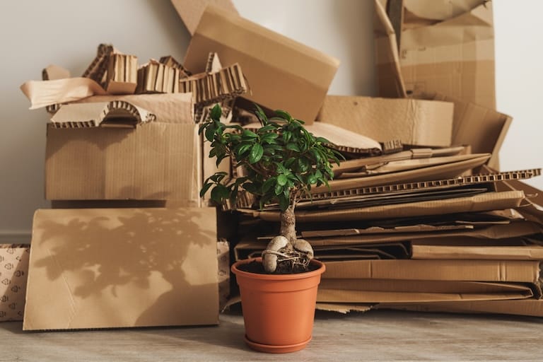 Office and house clearance